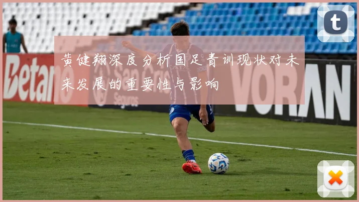 黄健翔深度分析国足青训现状对未来发展的重要性与影响