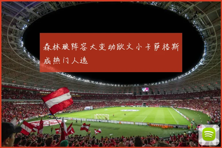 森林狼阵容大变动欧文小卡萨格斯成热门人选
